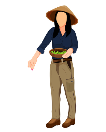 agriculturist harvest tea leaves vector designのイラスト素材