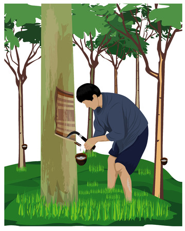 agriculturist scratch rubber tree vector designのイラスト素材