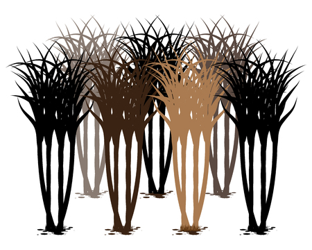 silhouette sugarcane plant vector designのイラスト素材