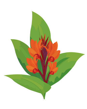 fresh flower vector designのイラスト素材