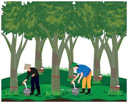 agriculturist harvest rubber water vector designのイラスト素材