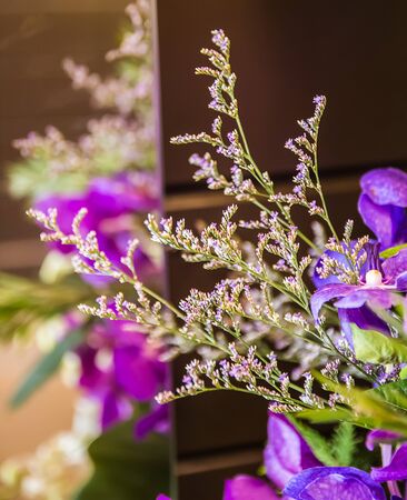 small beautiful purple flower backgroundの写真素材