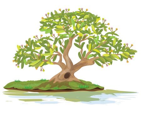 beautiful bonsai vector designのイラスト素材