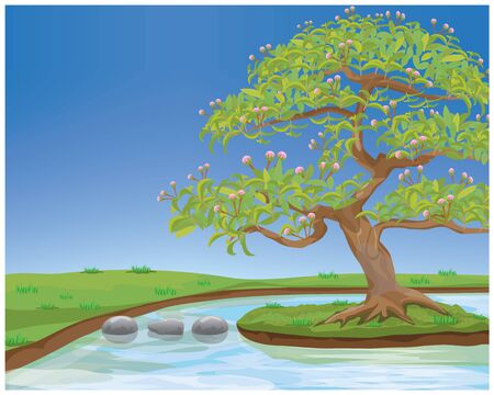beautiful bonsai tree with pond vector designのイラスト素材