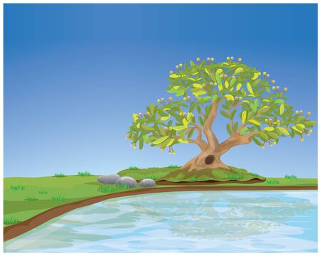 bonsai tree and pond on sky backgroundのイラスト素材