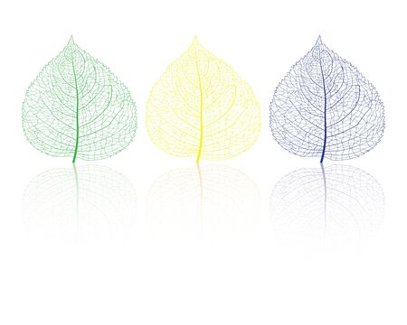 art leaves on white backgroundのイラスト素材