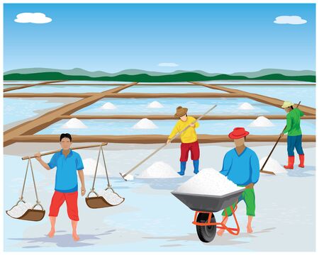 agriculturist work in saline field vector designのイラスト素材