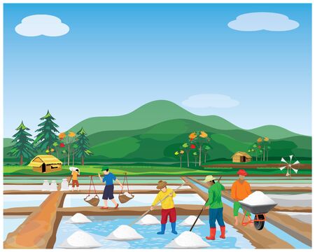 agriculturist work in saline field vector designのイラスト素材