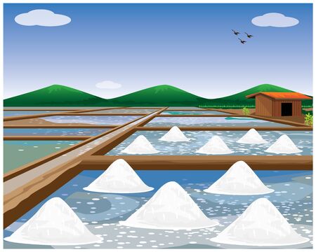 saline field vector designのイラスト素材