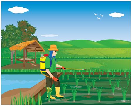 farmer sprays rice plant vector designのイラスト素材