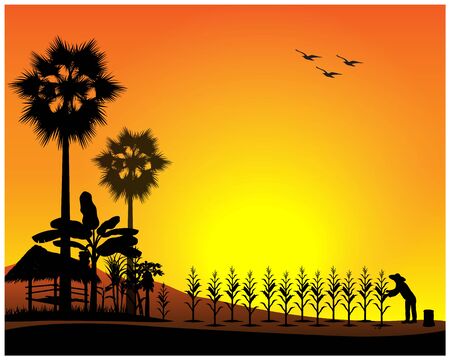 silhouette agriculturist manure corn plant vector designのイラスト素材