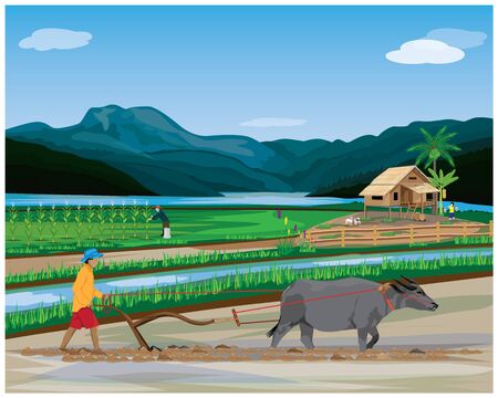farmer plow in paddy field vector desingのイラスト素材