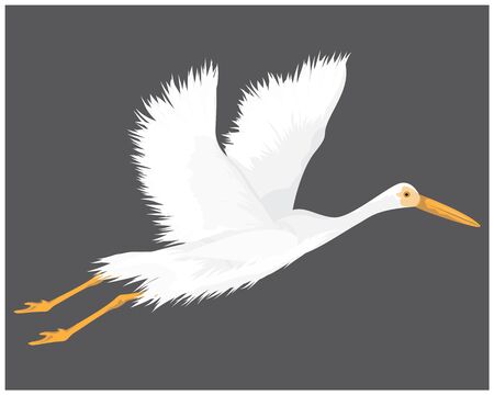 white heron vector designのイラスト素材
