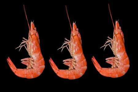 roasted shrimp on black backgroundの写真素材