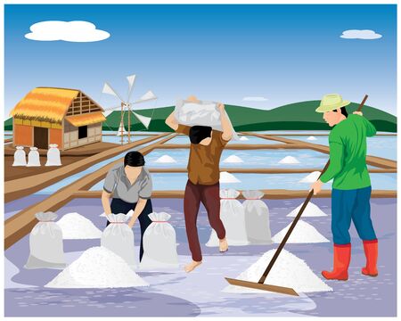 agriculturist work in saline field vector designのイラスト素材