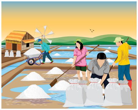 agriculturist work in saline field vector designのイラスト素材