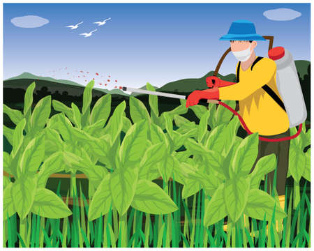 agriculturist spray manure into tobacco plant vector designのイラスト素材