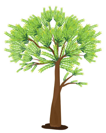 isolated green tree on white background vector designのイラスト素材