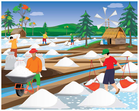agriculturist work in saline field at countryside vector designのイラスト素材