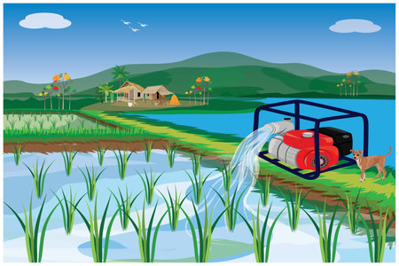 water pump is working in paddy field vector designのイラスト素材