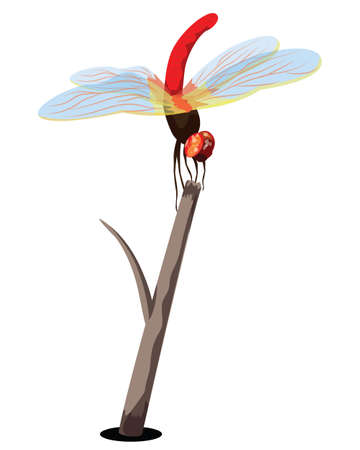 beautiful dragonfly on white background vector designのイラスト素材
