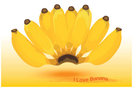 ripe banana and i love banana text vector designのイラスト素材