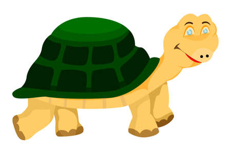 isolated tortoise on white background vector designのイラスト素材