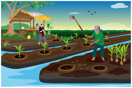 agriculturist planting young coconuts vector designのイラスト素材