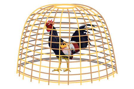 isolated the rooster in cage on white background vector designのイラスト素材
