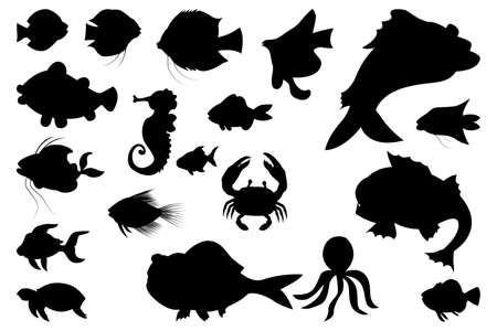 silhouette sea fish on white background vector designのイラスト素材