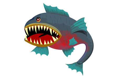 isolated piranha fish on white background vector designのイラスト素材