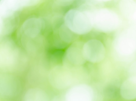 Abstract natural green bokeh backgroundの写真素材