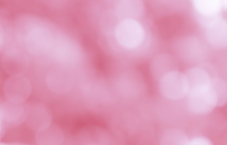 sweet color rose in blur style for backgroundの写真素材