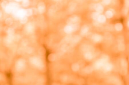 Orange bokeh from naturalの写真素材