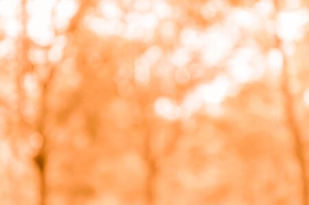 Abstract orange bokeh backgroundの写真素材