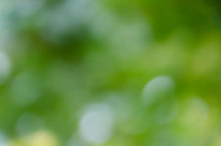 Green bokeh on nature defocus art abstract blur backgroundの写真素材