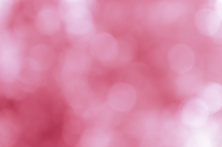 sweet color rose in blur style for backgroundの写真素材