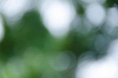 Green blurred background, the bokeh effectの写真素材