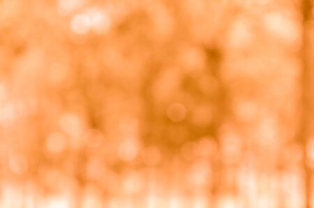 Orange bokeh from naturalの写真素材