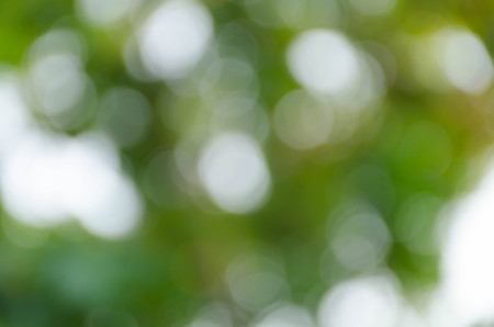 Green blurred background, the bokeh effectの写真素材