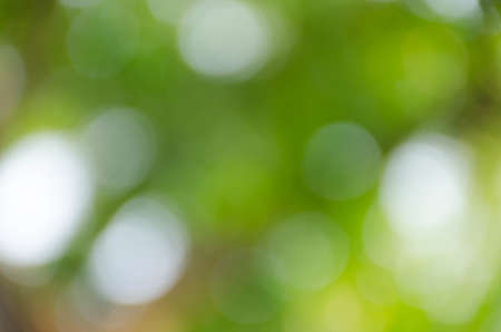 Green bokeh on nature defocus art abstract blur backgroundの写真素材