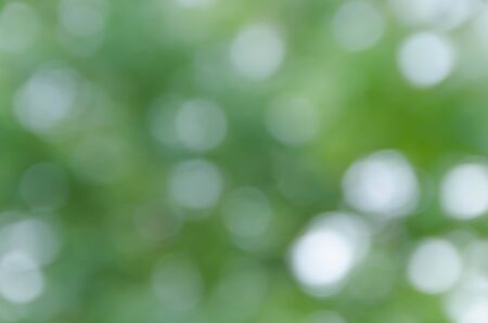 green bokeh from treeの写真素材