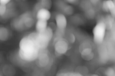gray abstract light backgroundの写真素材