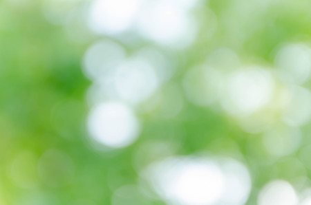green bokeh from treeの写真素材