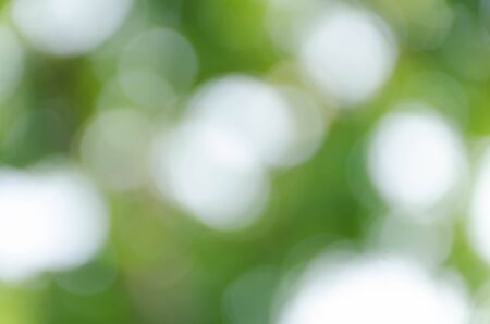 Green bokeh on nature defocus art abstract blur backgroundの写真素材