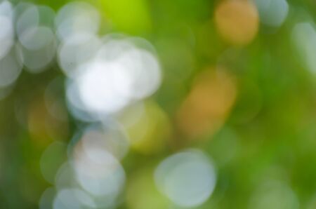 Green bokeh on nature defocus art abstract blur backgroundの写真素材