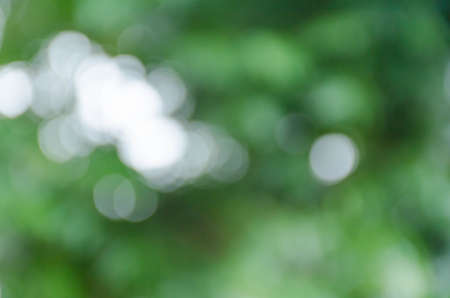Green blurred background, the bokeh effectの写真素材