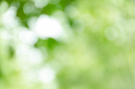 green bokeh backgroundの写真素材