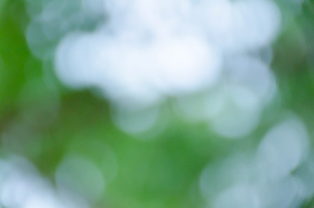 Green blurred background, the bokeh effectの写真素材