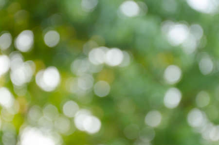 green bokeh abstract light backgroundの写真素材